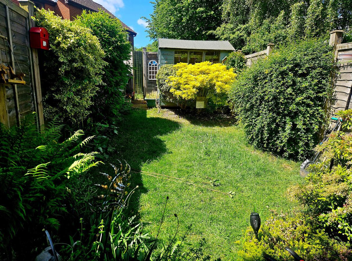 Overgrown garden Overgrown garden