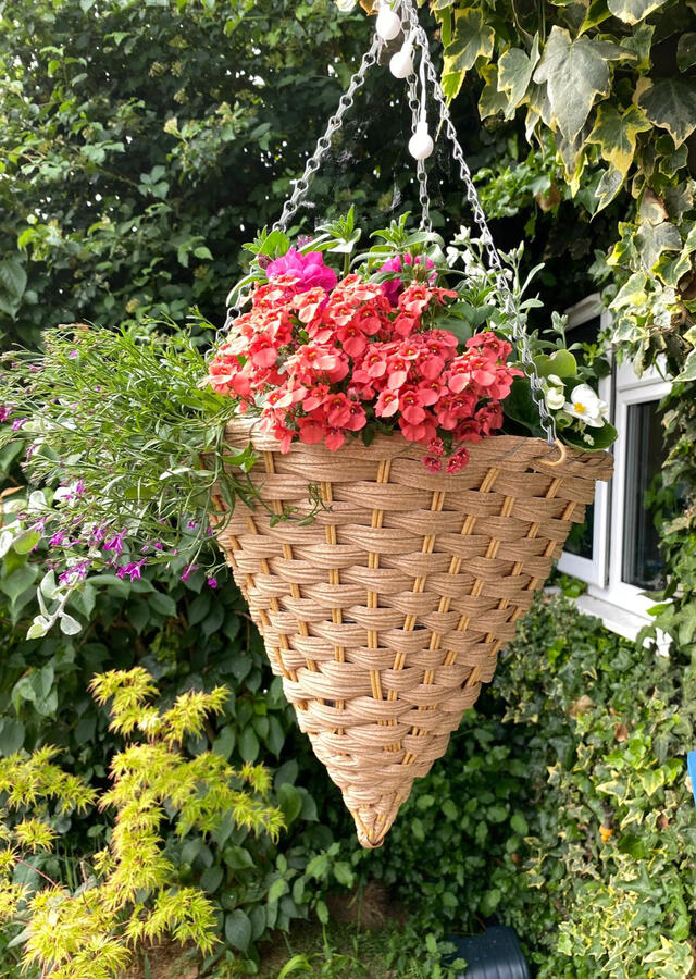 Hanging Baskets 2 Hanging Baskets 2