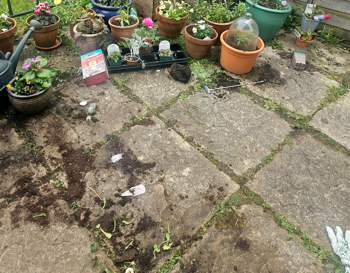 Patio before Patio before